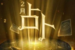 月亮占卜狗仔爆料视频,狗仔爆料视频背后的神秘力量